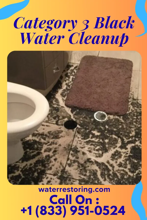 Category 3 Black Water Cleanup in Estelline, SD