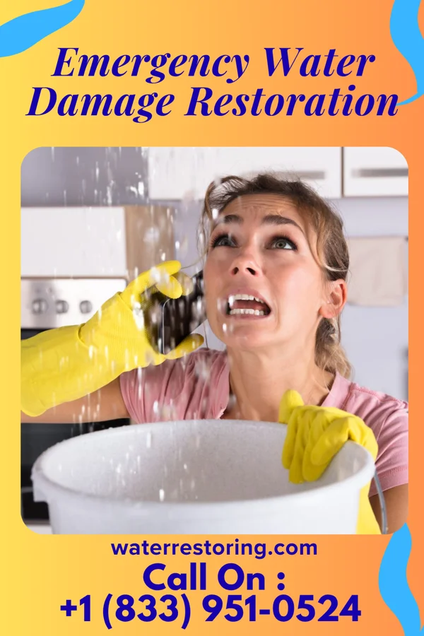 Emergency Water Damage Restoration in Estelline, SD