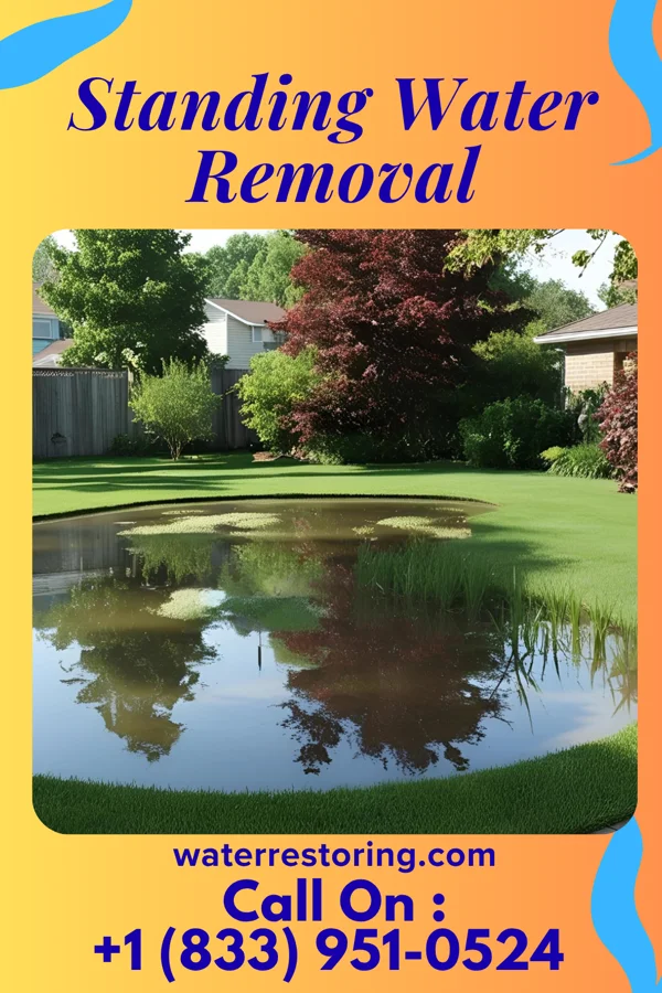 Standing Water Removal in Estelline, SD